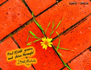 Find Your Groove Postcard 