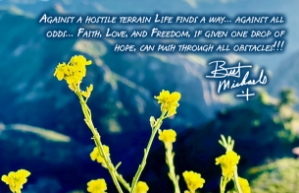 Against All Odds Postcard Bret Michaels, Brett Michaels, Bret Micheals, Brett Micheals, LIfestyle, Style, Life, Collection, postcard, Inspiration, gifts