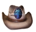 Bret Michaels Custom Cowboy Hat - Palm Tree Guitar Oval Logo, Brown - CH-C311