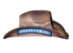 Bret Michaels Custom Cowboy Hat - Palm Tree Guitar Oval Logo, Brown - CH-C311